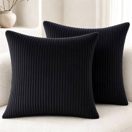 2 Pack 18 x 18 Decorative Throw Pillows with Insert Included