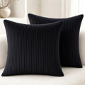 2 Pack 18 x 18 Decorative Throw Pillows with Insert Included