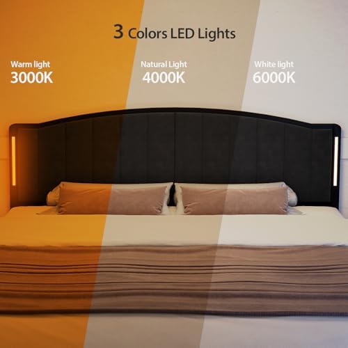 Upholstered Tufting Headboard for King Size Bed with Lights, Black