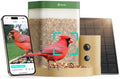 Birdfy Smart Bird Feeder with Camera for Beginners, Solar Powered, Free AI