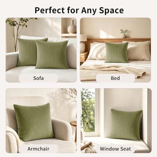 2 Pack 18 x 18 Decorative Throw Pillows with Insert Included
