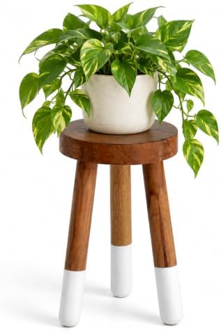 Teak Wood 9" Round Plant Stand |Dip Dyed Plant Stand |Accent Stool |Milking Stool |Bath Stool |Small Side Table (16" Tall White)