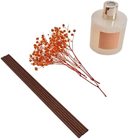 Cocorrína Premium Reed Diffuser Set with Preserved Baby's Breath & Cotton Stick Coconut Lime | 6.7oz Scent Fragrance Oil Diffuser for Bedroom Bathroom Home Décor