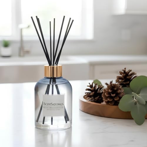 ScentSationals White Pine & Eucalyptus Water-Based Reed Diffuser - 5 FL OZ