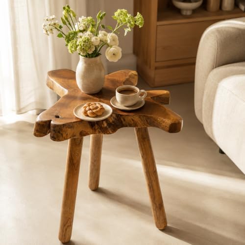 Teak Side Table, Live Edge End Table, Solid Wood Side Table for Living Room, Bedroom, Patio, Plant Stand, Tree Stump Style Natural Wood Accent Table