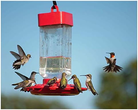 Kaytee Hummingbird ElectroNectar Wild Bird Food, Ready to Use, 64 Ounces