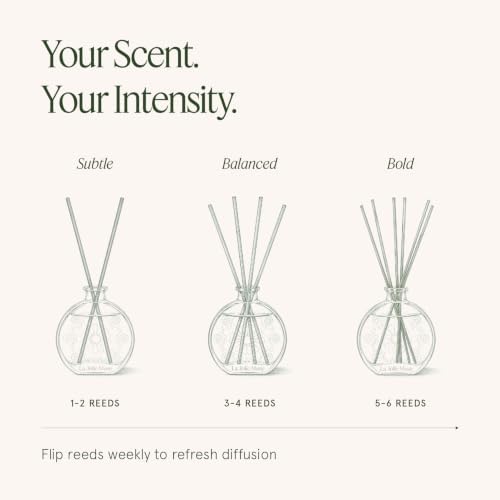 LA JOLIE MUSE Santal Rosé Reed Diffuser, Scented Room Diffuser Set for Home