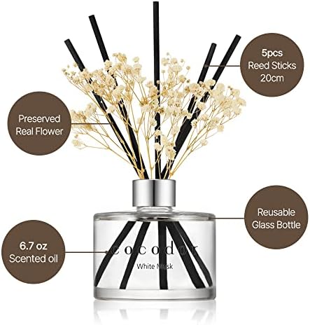 COCODOR Preserved Real Flower Reed Diffuser/April Breeze / 6.7oz(200ml) / 2 Pack/Reed Diffuser Set, Oil Diffuser & Reed Diffuser Sticks, Home Decor & Office Decor, Fragrance and Gifts