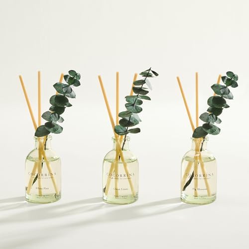 COCORRÍNA Reed Diffuser Set of 3 with Dried Eucalyptus for Home & Office