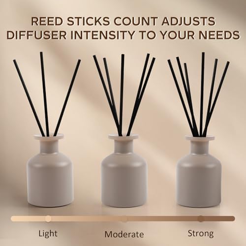 Reed Diffuser Set,Berry Zest Scented,100ml(3.38 oz)