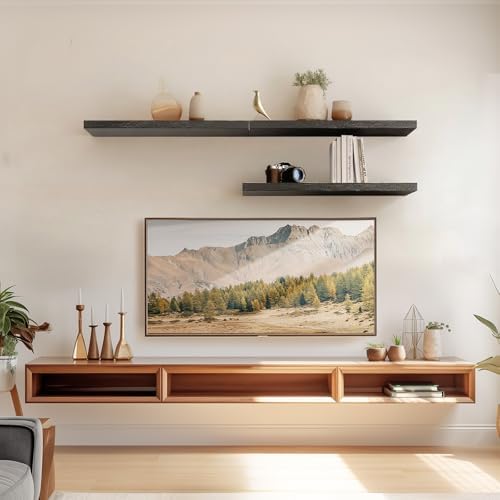 Amada 24 Inch Floating Shelves with Invisible Brackets, Set of 2, Black