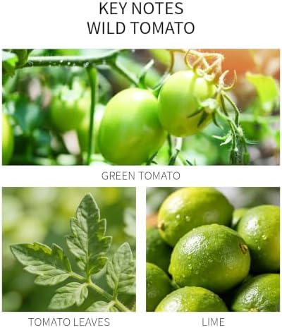 Wild Tomato Reed Diffuser, 5.07oz Green Tomato & Leaf Essential Oil