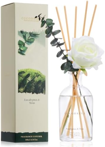 COCORRÍNA Reed Diffuser Eucalyptus Moss 6.76 fl oz Home Bathroom Fragrance