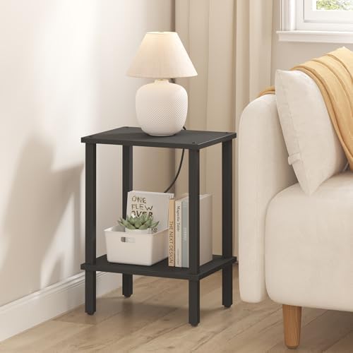 TUTOTAK End Table, Side Table, Nightstand, 2-Tier Storage Shelf