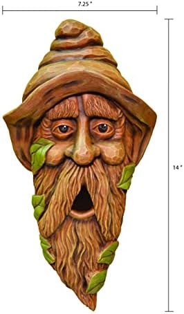 Red Carpet Studios Outdoor Tree Face Birdhouse, 14", Long Face Hank