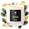 Lulu Candles Pineapple Evergreen Scented Soy Blend Jar Candle, 9 Oz.