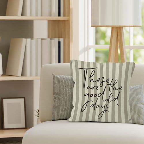 Inspirational These are the Good Old Days Throw Pillow Cover 18x18, Positive Motivational Decorative Pillow Covers for Home Living Room Bedroom, Neutral Striped Accent Pillows Cover Pillowcases
