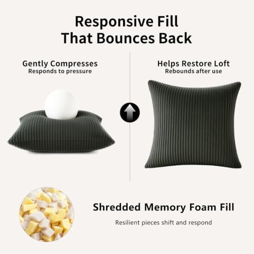 2 Pack 18 x 18 Decorative Throw Pillows with Insert Included