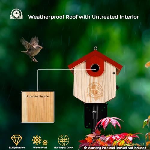 SISTERBIRD Wren Bird Houses for Outside, Bird House Warming Gifts, Red