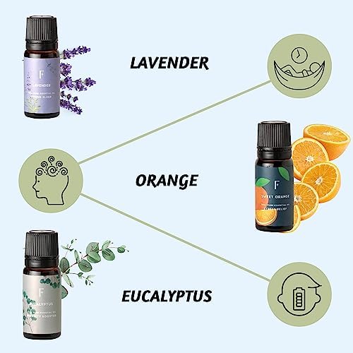 Folkulture Pure Essential Oil | Set of 6 Essential Oils for Diffuser for Home | Oil Diffuser Essential Oil | Summer Essential Oils for Candle Making - Lavender, Eucalyptus