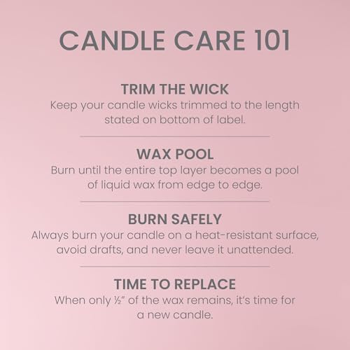 Yankee Candle Vanilla Cupcake, Scented Candle, 22oz Large Jar with up to 150 Hour Burn Time, Giftable, Birthdays (Pack of 4)