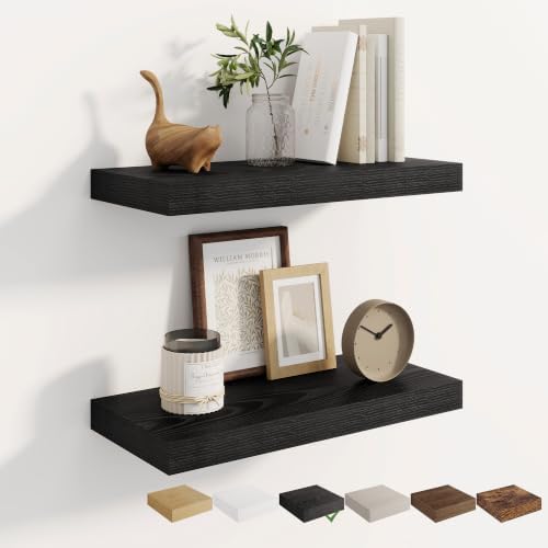 Dreamland 20 Inches Wall Mounted Wood Floating Shelves, Black, 2 Pack