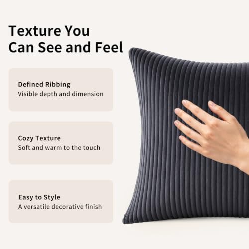 2 Pack 18 x 18 Decorative Throw Pillows with Insert Included