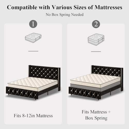 HOMBCK Queen Bed Frame with Velvet Headboard, Silverside Wingback, Black