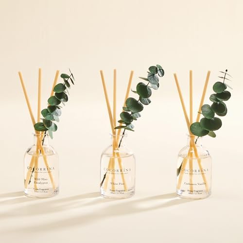 COCORRÍNA Reed Diffuser Set of 3 with Dried Eucalyptus for Home & Office
