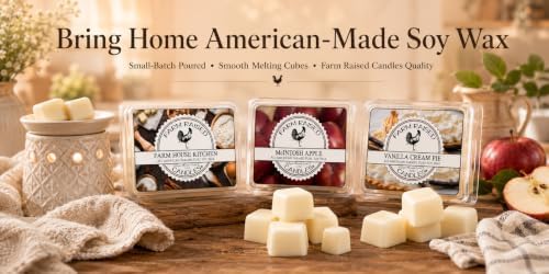 Black Raspberry Vanilla - USA Made Soy Wax Melts, 2 Pack, 6 oz