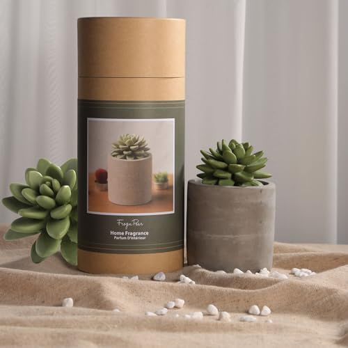 Reed Diffuser Set, Pretty Valley Home Succulent Gypsum Ceramic Fragrance Diffuser Vase Set - 3.38 fl oz (100 ml), Home Fragrance Reed Diffuser (Frozen PEAR S)