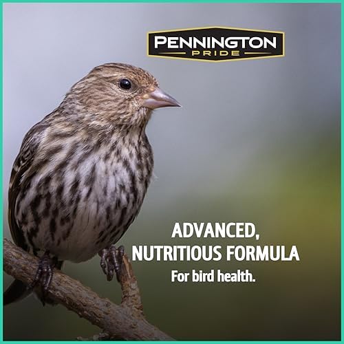 Pennington Pride Wild Finch Blend Wild Bird Seed, 10-lb Bag
