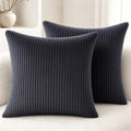 2 Pack 18 x 18 Decorative Throw Pillows with Insert Included