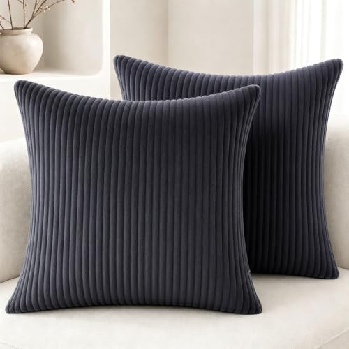 2 Pack 18 x 18 Decorative Throw Pillows with Insert Included