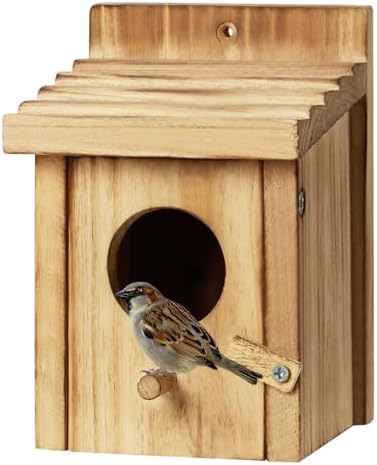 Small Wooden Birdhouse with Front Cleaning Door