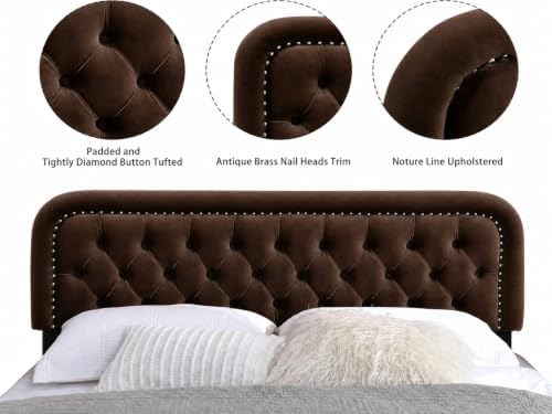 Tufted Upholstered Full Size Headboard only - Button Solid Wood HeadBoards with Adjustable Height - Modern Velvet Padded Bed Headboard - Easy Assembly - Nailhead, Taupe Brown