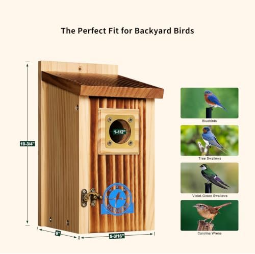 SISTERBIRD 2 Pack Bluebird House, Premium Blue Bird House, Warming Gifts