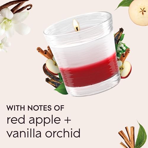 Glade 1-Wick 2in1 Scented Candle Jar, Sheer Vanilla Embrace & Apple Cinnamon, Air Freshener Infused with Essential Oils, 4.08 Oz, 2 Count