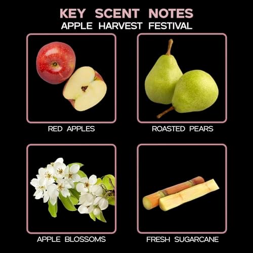 Reed Diffuser Set - Apple Harvest Scented Diffuser with Sticks