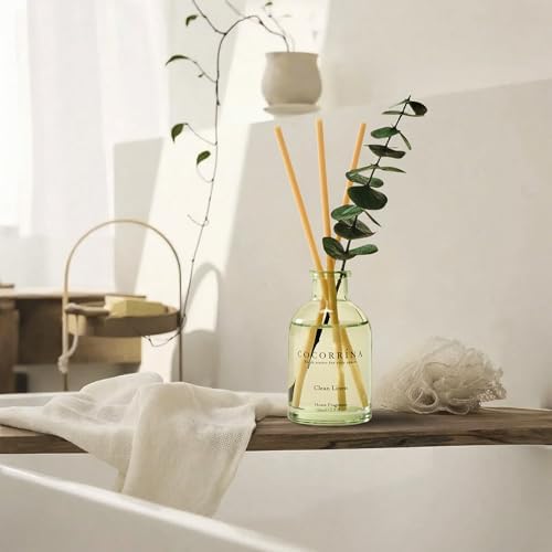 COCORRÍNA Reed Diffuser Set of 3 with Dried Eucalyptus for Home & Office