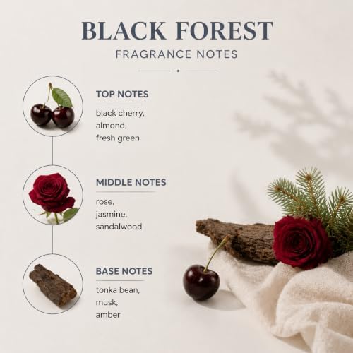 Airkeep Black Forest Reed Diffuser Refill – 6.76 fl oz – Premium Scented Oil for Home Aromatherapy – Long-Lasting Fragrance for Reed Diffusers – Perfect for Bathroom, Bedroom & Home Decor