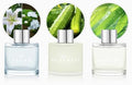 3 Set of Reed Diffusers, 5.07 oz Reed Diffusers with 12 Black Fiber Sticks, 150 ml Jasmine Lily Cucumber Bamboo Scent Diffuser for Home,Long Lasting up to 90 Days