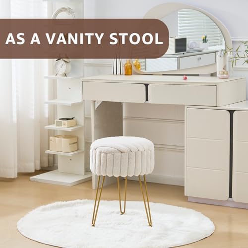 Wimarsbon Vanity Stool with Storage, Faux Fur Ottoman Chair with Metal Legs