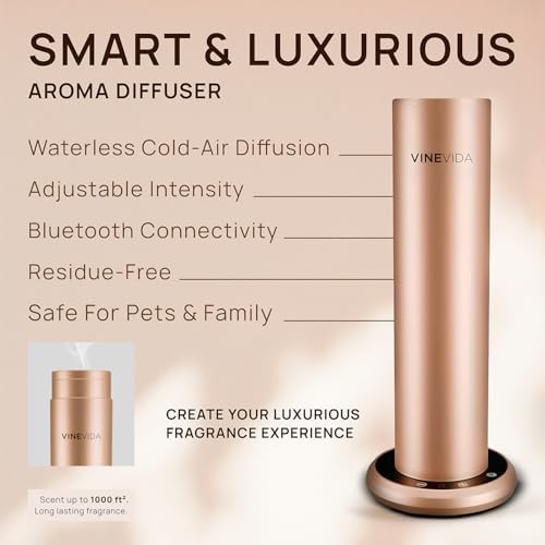 VINEVIDA Aroma Diffuser V1 Skyline BT Gold