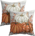 Fall Pumpkins Outdoor Pillows 20x20 Inch Set of 2 Autumn Harvest Pumpkin Pillowcase Buffalo Plaid Maple Leaves Decorative Throw Cushion Cover for Thanksgiving Seasonal Home Couch Porch Patio Decor