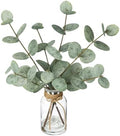 Coferset Artificial Eucalyptus Stems in Glass Vase with Faux Water, Green