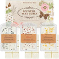 SCENTORINI Wax Melts, Premium Wax with Essential Oil, 2.5oz x 3 Pack