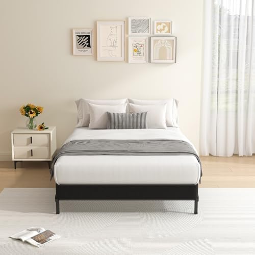 MAF 5 Inch Twin XL Box Spring and Cover Set Low Profile Metal Bed Base