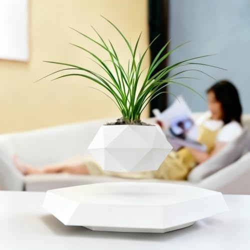 MOOCCI Floating Plant Pot,Levitating Planter for Succulents