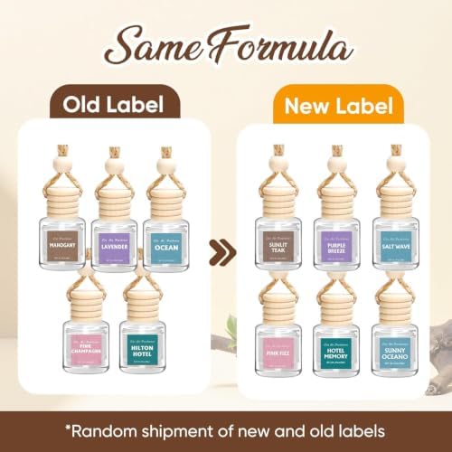 AROIC 12 Pack Car Air Freshener, Car Essential Oil Air Freshener Diffuser